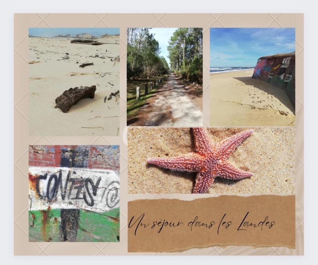 Sbvacances Tout Confort 2Ch Et 1Sdb, Environnement Calme Et Verdoyant Dans Camping 4 Etoiles แซ็งต์-จูเลียง-อ็อง-บอร์ง ภายนอก รูปภาพ